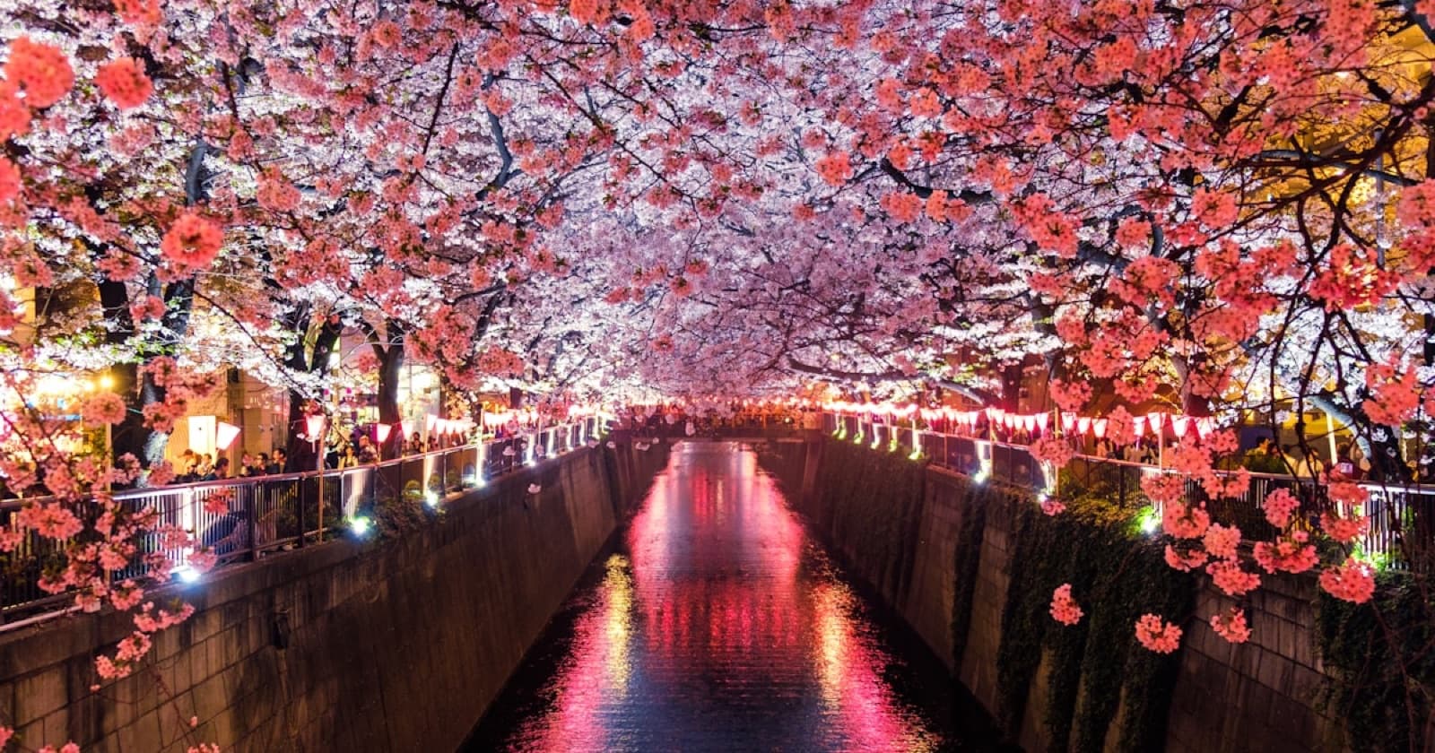 テクノロジーと防災投資をイメージした写真